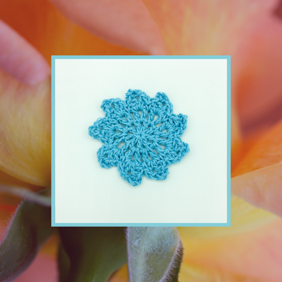 Crocheted Coaster Set - Pinwheel